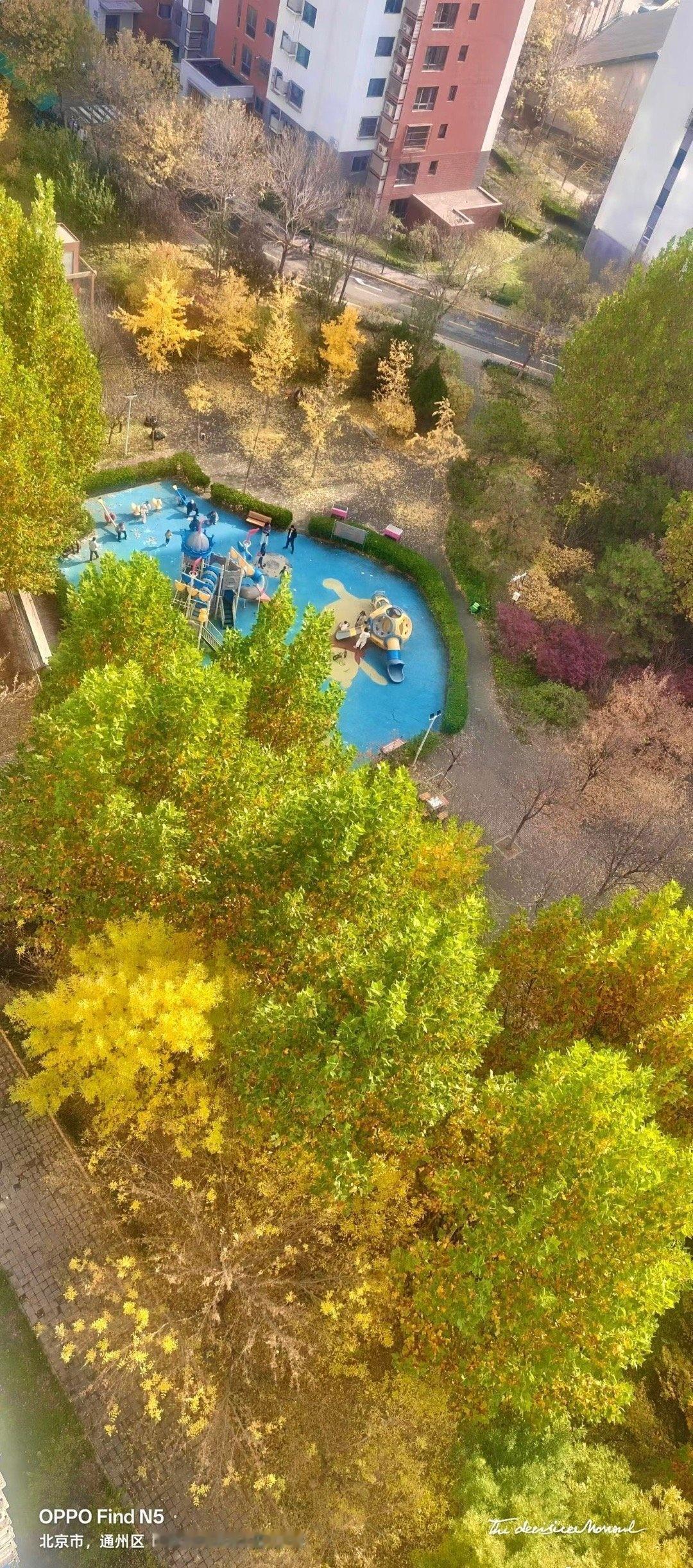 北京的今日此刻：2025 立冬的第二天——窗外暖阳恋秋色，窗内暖气蕴二春……