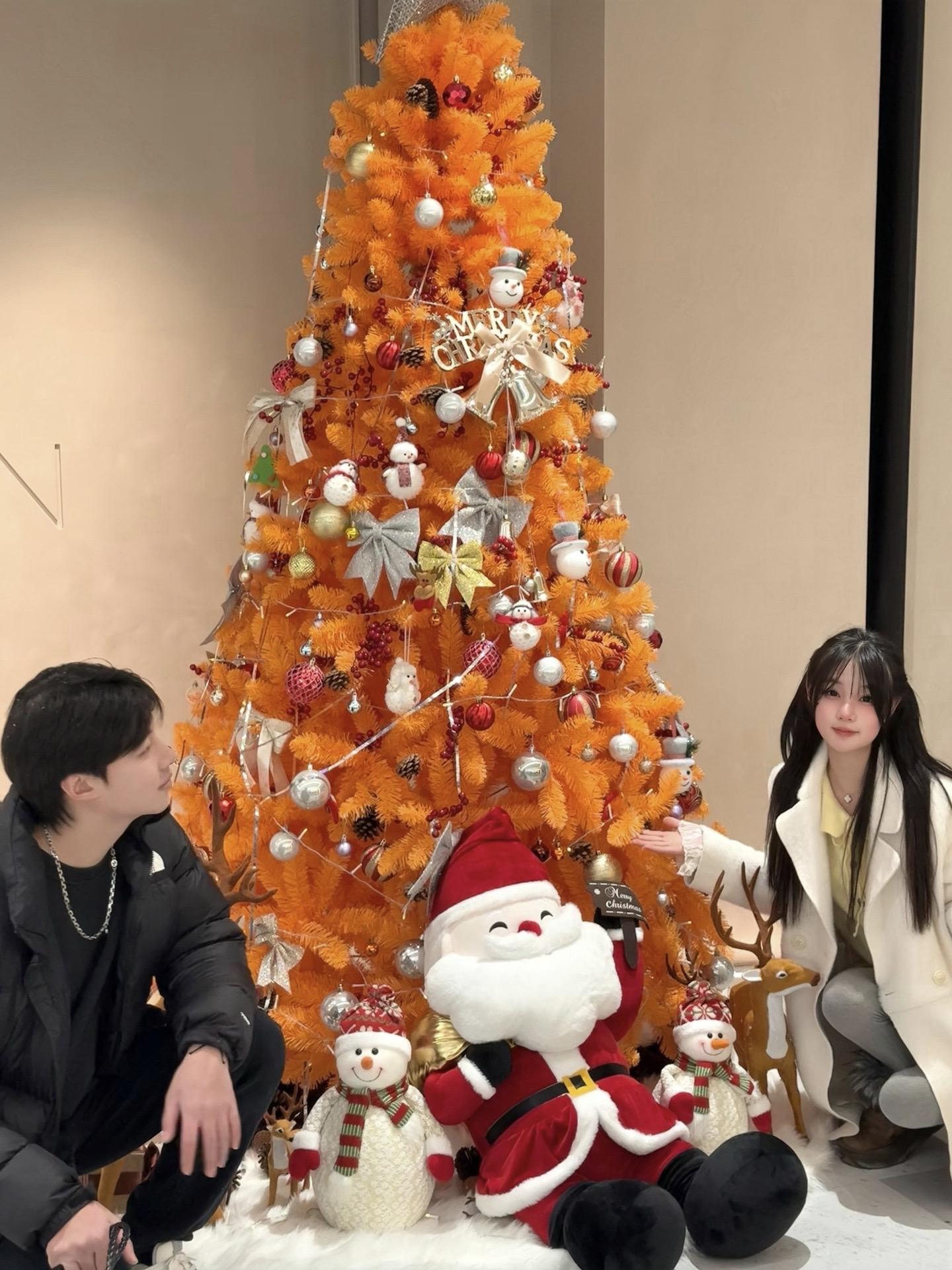 圣诞节 上海圣诞节的圣诞树们 我们的第二个圣诞节