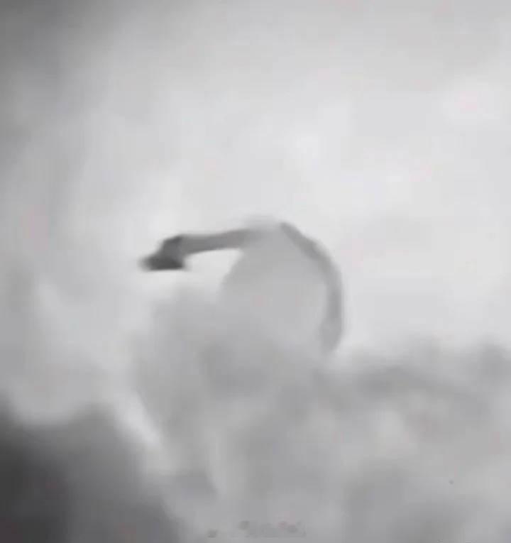西安雷雨夜再现龙形不明飞行物看着确实像条龙热点现场  ​​​