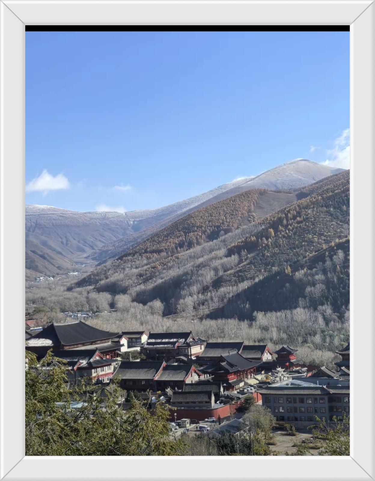 美国的优势在于什么呢？从最近这些年美国的现实情况来看，就在于美国社会的达尔文主义