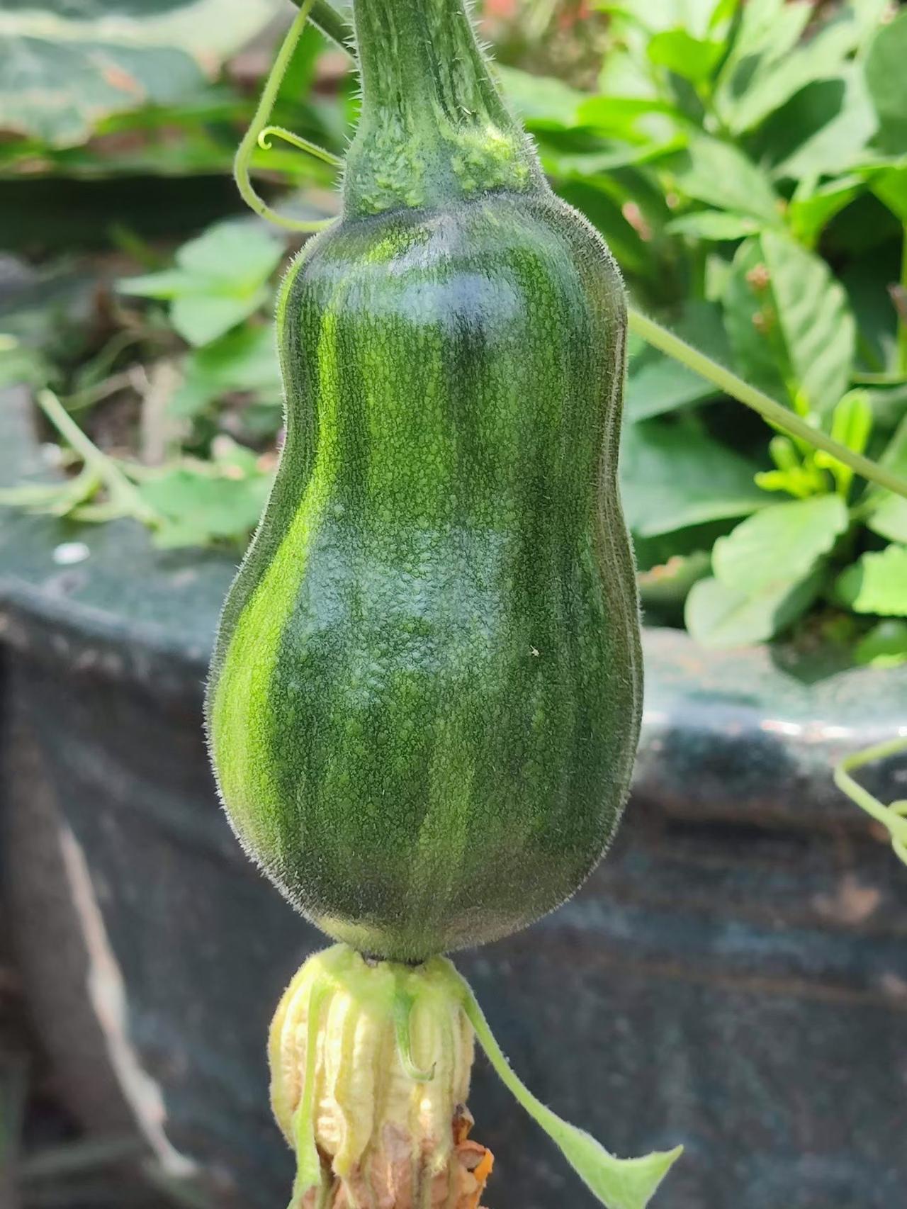 【04.11修身心语】
您好！
若想生活幸福，人一定要多去能量强、磁场干净的地方