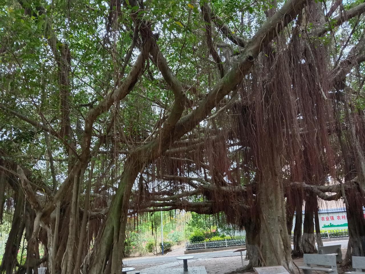 岁月真是位神秘又深刻的导师。它让我明白珍惜当下是生活真谛。过去总觉时间多，肆意挥