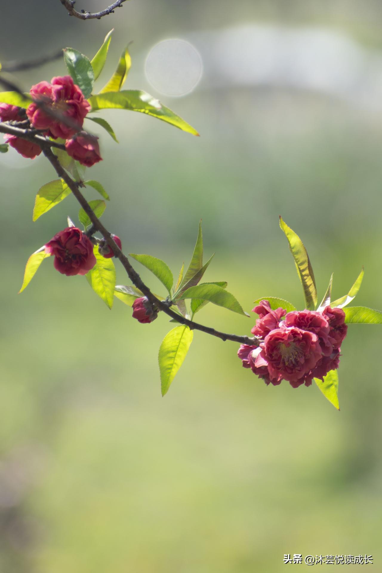 退休后，我终于放过了我自己
 
我前半辈子活得特别累。别人一句话，我能耿耿于怀；
