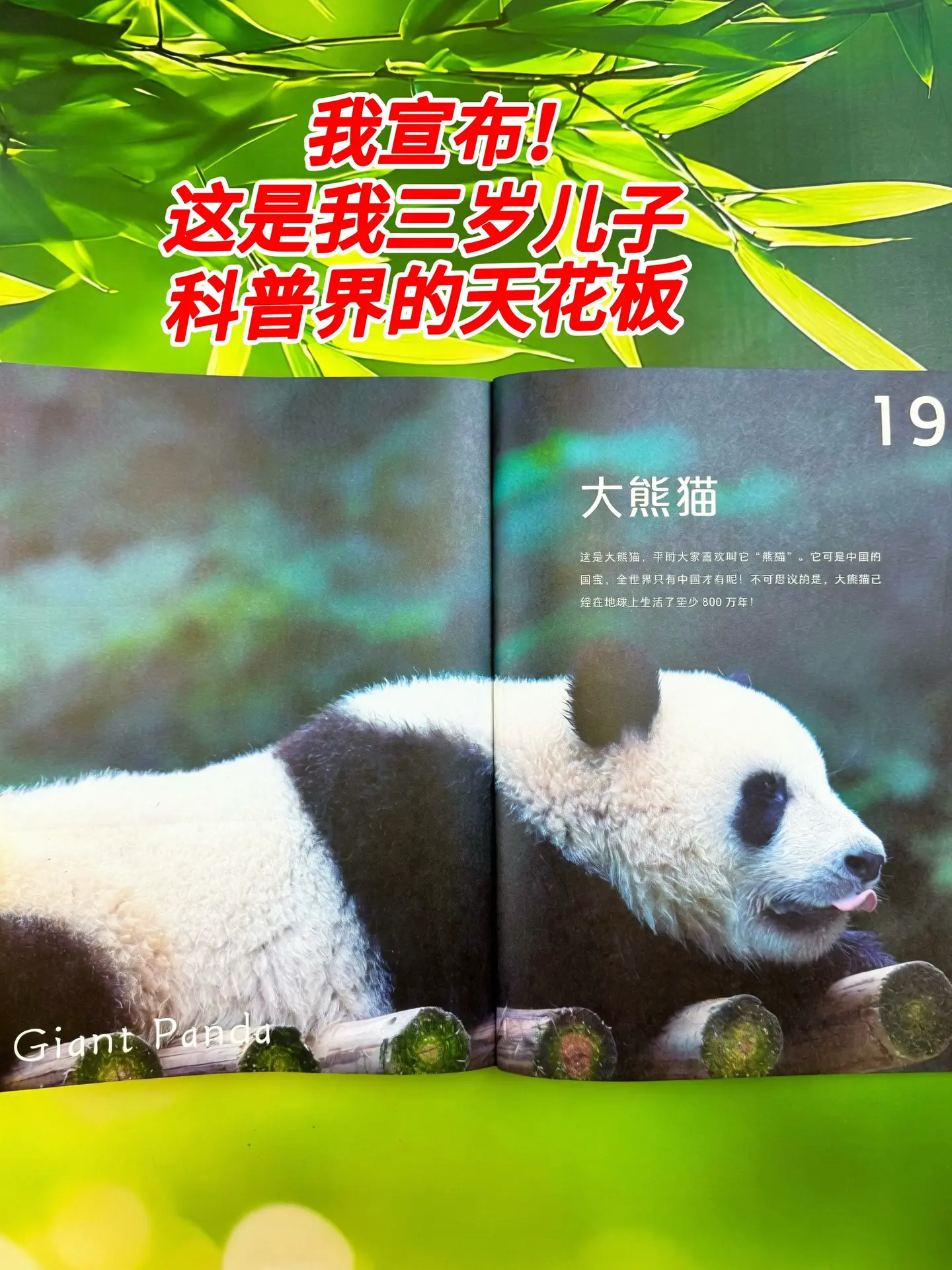 哇！3岁就能看的自然百科全书📚。高清大图实拍，视觉冲击力堪比纪录片让...