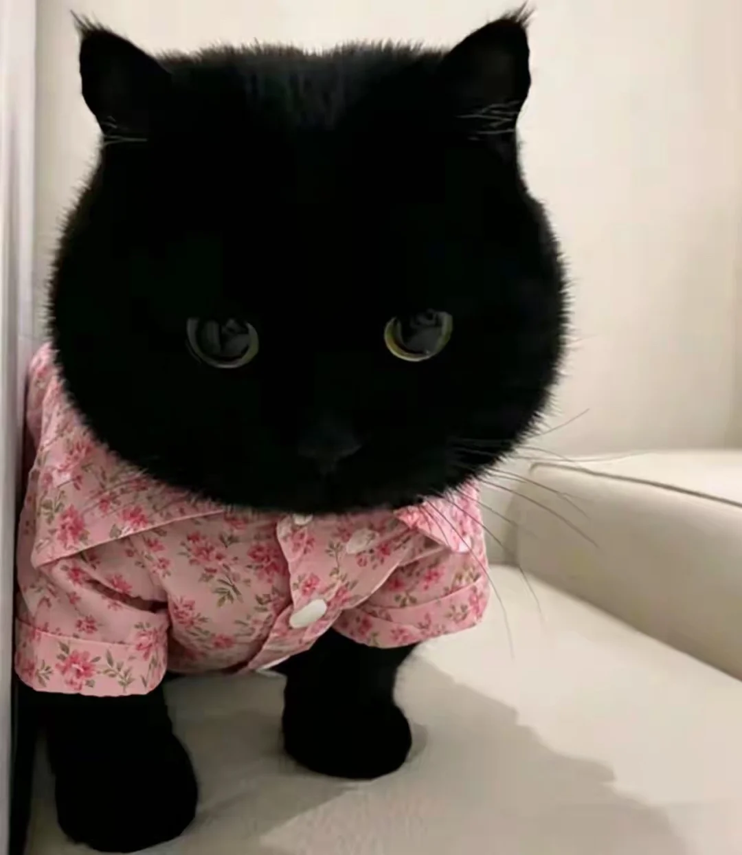 在心理咨询室中，常有来访者带着困惑倾诉：“我总想把一切掌控在手中，为什...