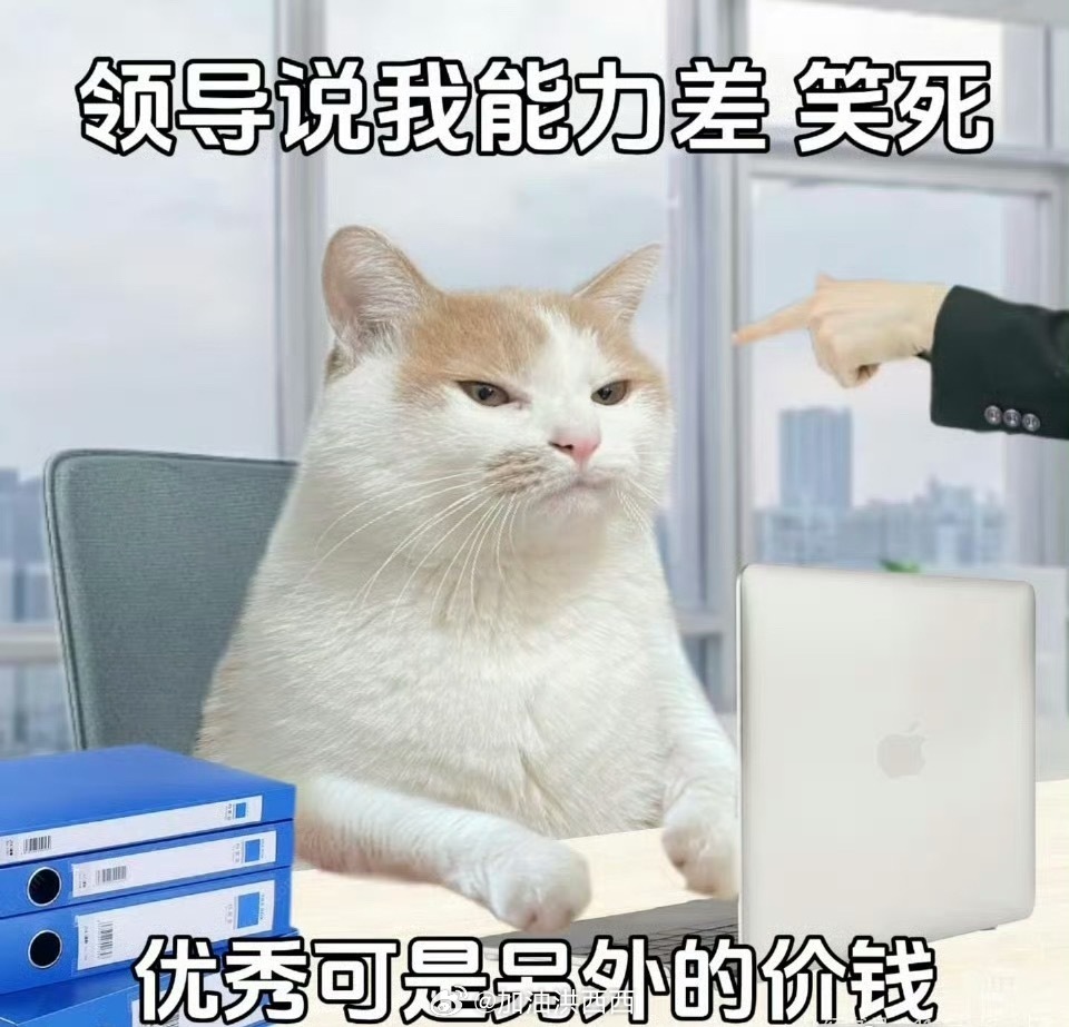 绩效 反人类绩效就是管理工具罢了，好就好，不好也别PUA自己怀疑人生，马上又到宇