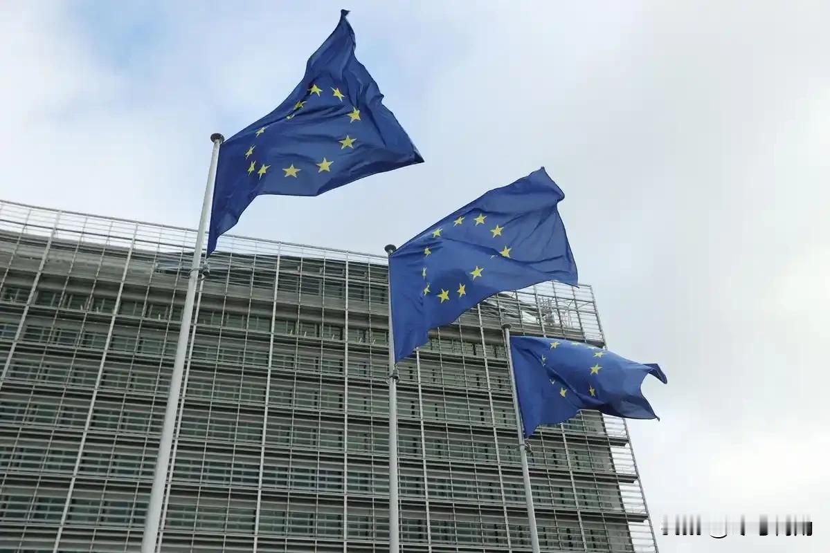 欧洲九国驻军乌克兰，却暴露最尴尬真相：离了美国，连声明都站不稳

这事儿听着就让