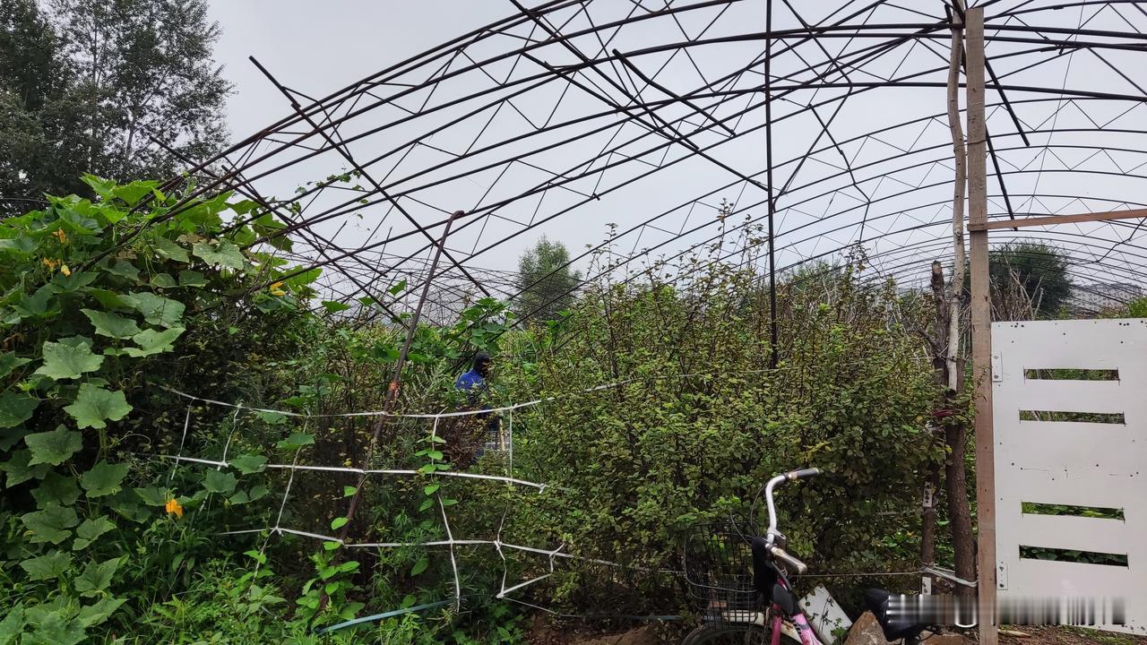 城市工人退休后去农村种地，那么农村农民退休后就可到城市养老。
现在有不少退休后的