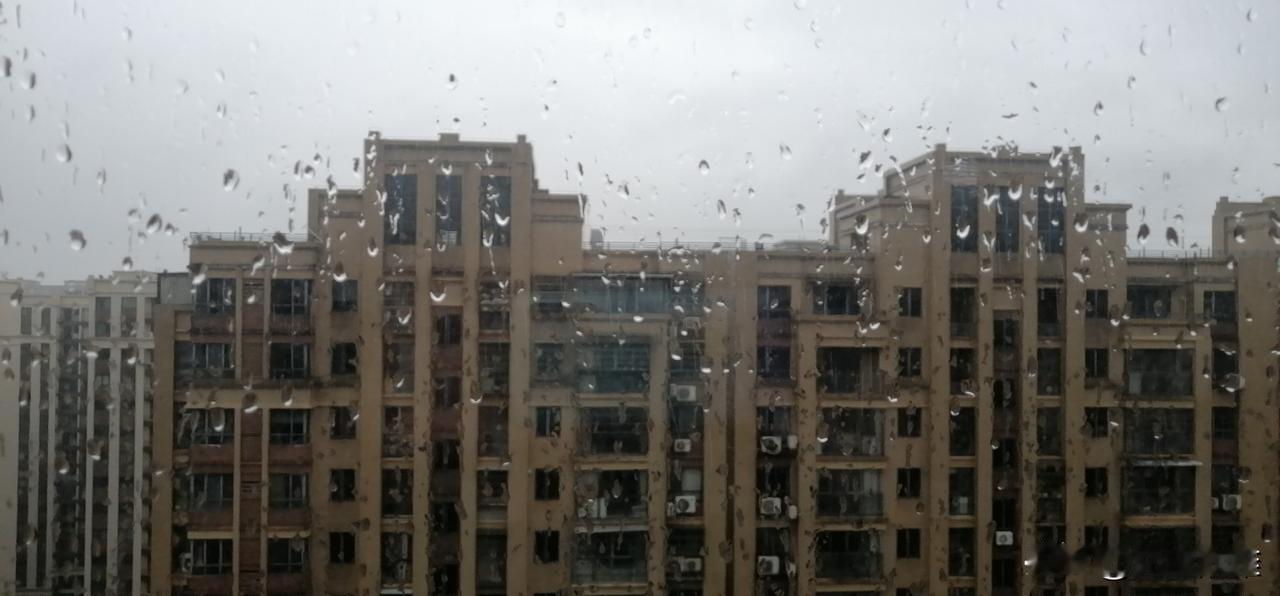 终于下雨了，还不是一般的下，是垂直的，从天下倾泻而下。
没有风，雨才会直直的从天