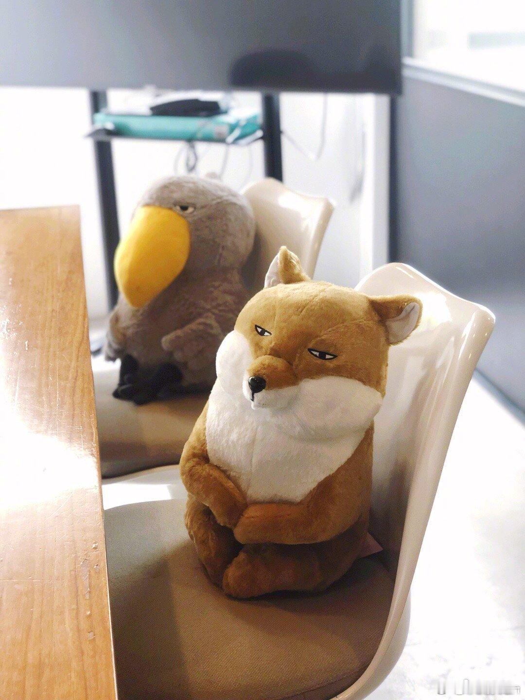 台风is coming……也多亏它今年夏天真的很舒爽，到现在也没太热 