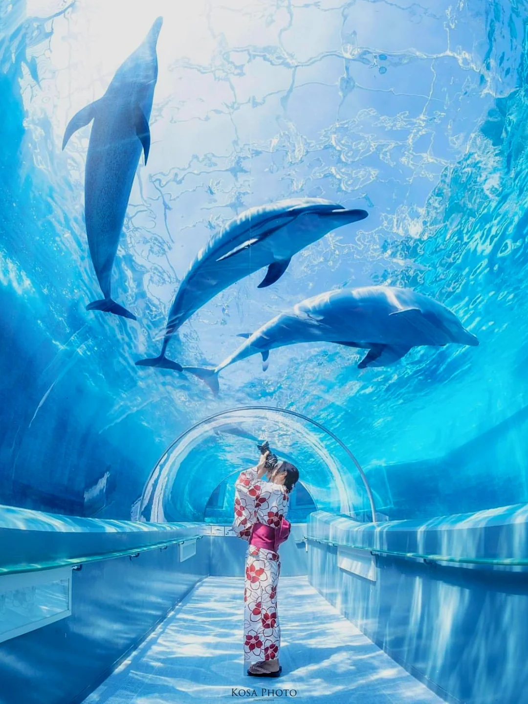 日本小众🐳超出片博物馆和鲸鱼海豚亲密互动