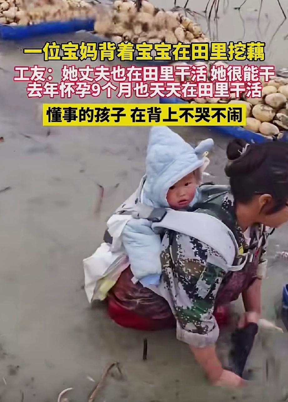 极端寒冷的天气里，一位宝妈背着自己的孩子去池塘里挖藕，孩子看起来应该还不到一岁，