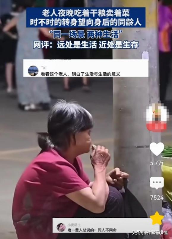 一根电线杆，隔开两个世界。

一个是生存，一个是生活。

华灯初上，眼前的菜还有