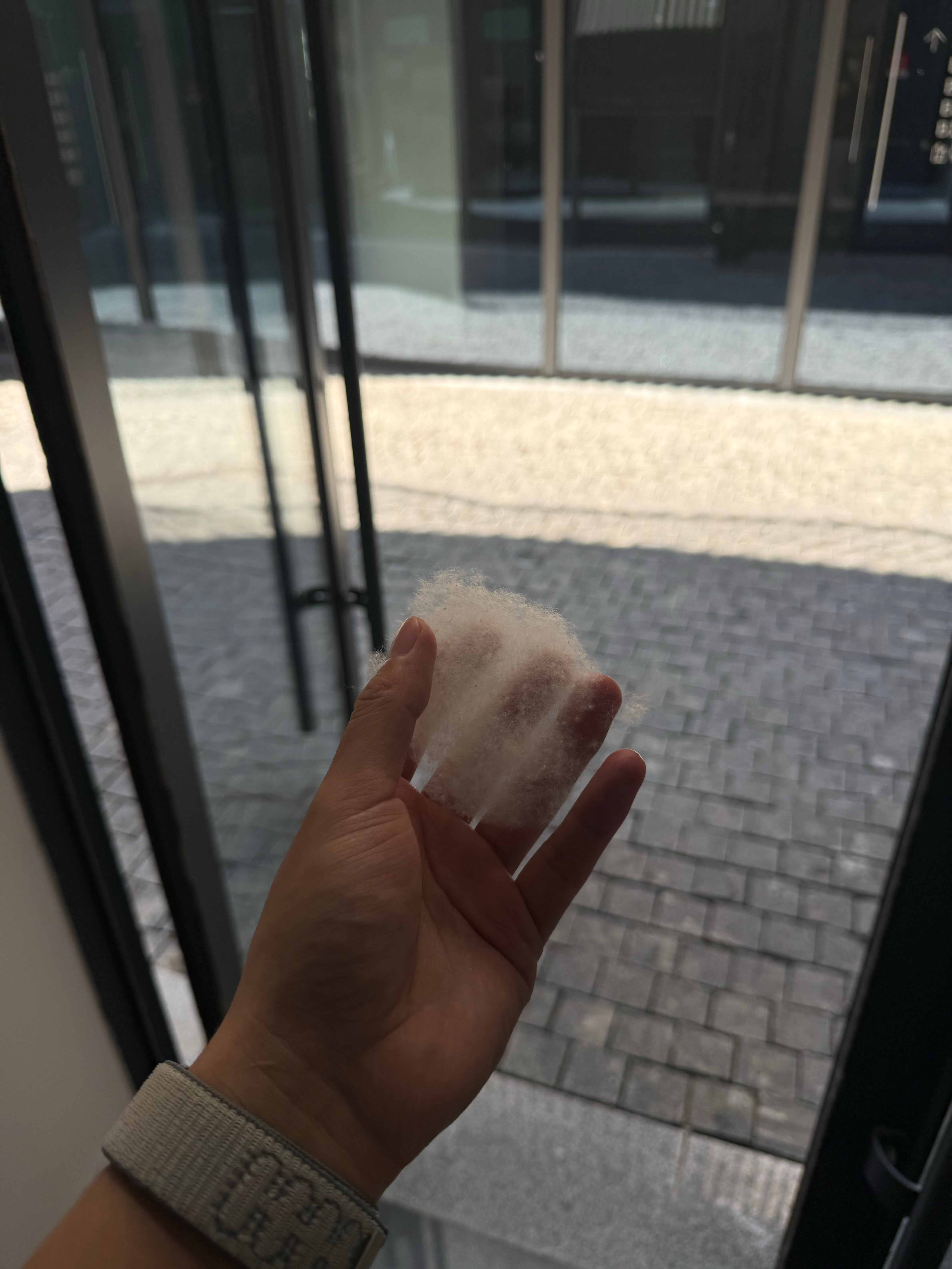 未若柳絮因风起，鼻炎患者help me氯雷他定 氯雷他定 快给我氯雷他定！呼吸不