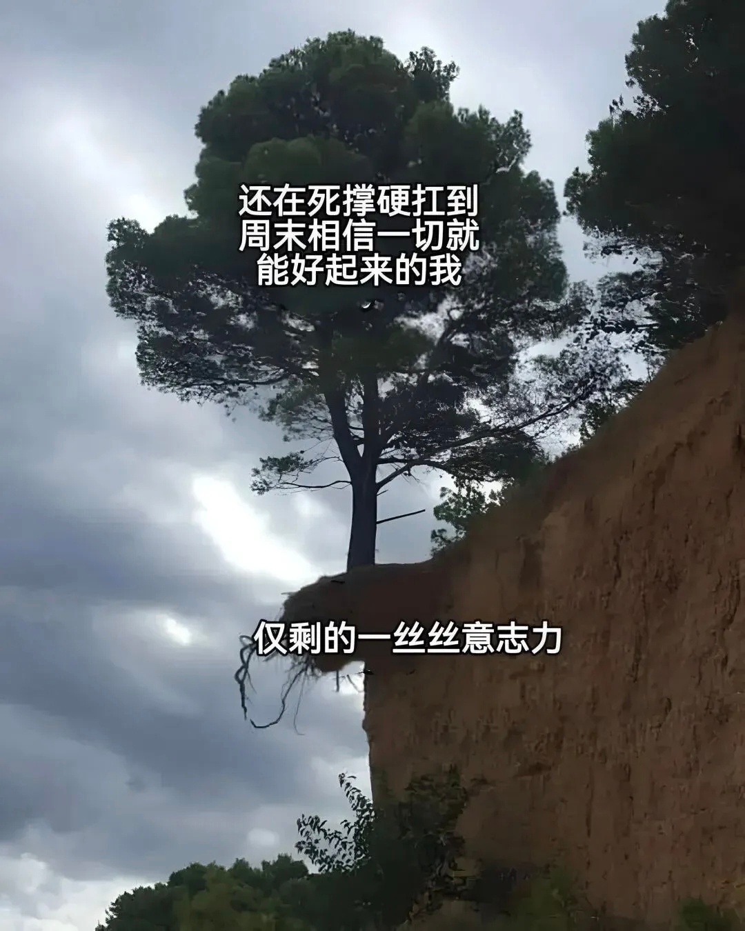 全靠一口周末的仙气吊着meme