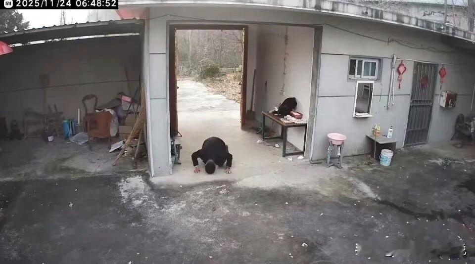 这两天跪别老宅的男子看哭了无数人，我也不例外，一下子就引起了共鸣。本月24日江苏