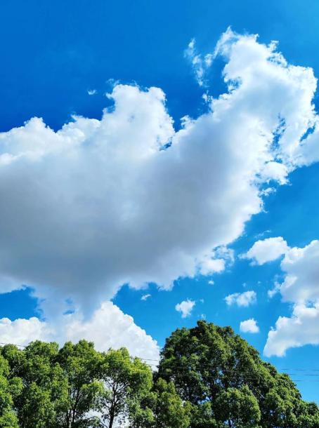 交朋友、处关系，心里得有杆秤。

1.尽量别跟那种整天怨天怨地、一身负能量的人走