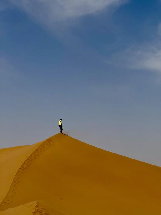 在沙利佛尼亚流浪了三天🏜️