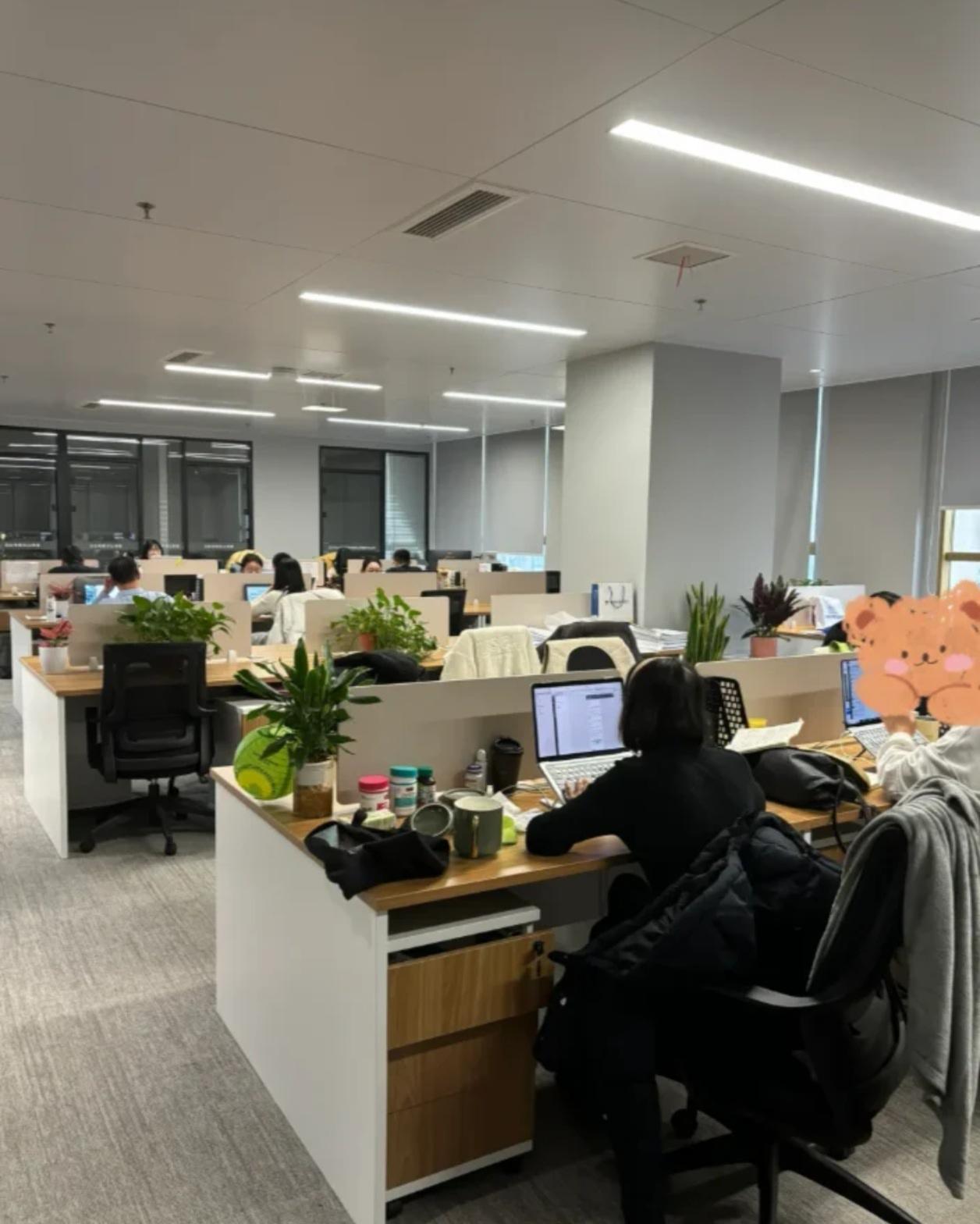 后台撑腰、作恶猖狂，靠山一倒率先顶罪，天道算账从无例外
你单位里心术不正、处处坑