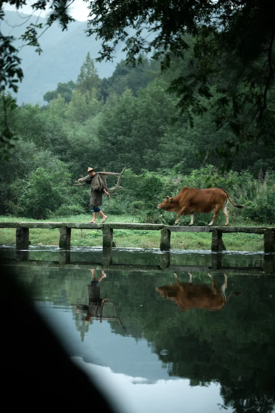 又解锁中式浪漫！这座宝藏小城该火了…🔥