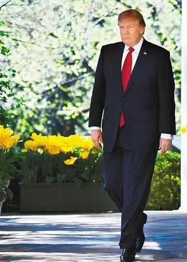 美国拿伊朗都没办，还何谈为远离9500英里的湾湾撑腰，特朗普声称不敢
美国在伊朗
