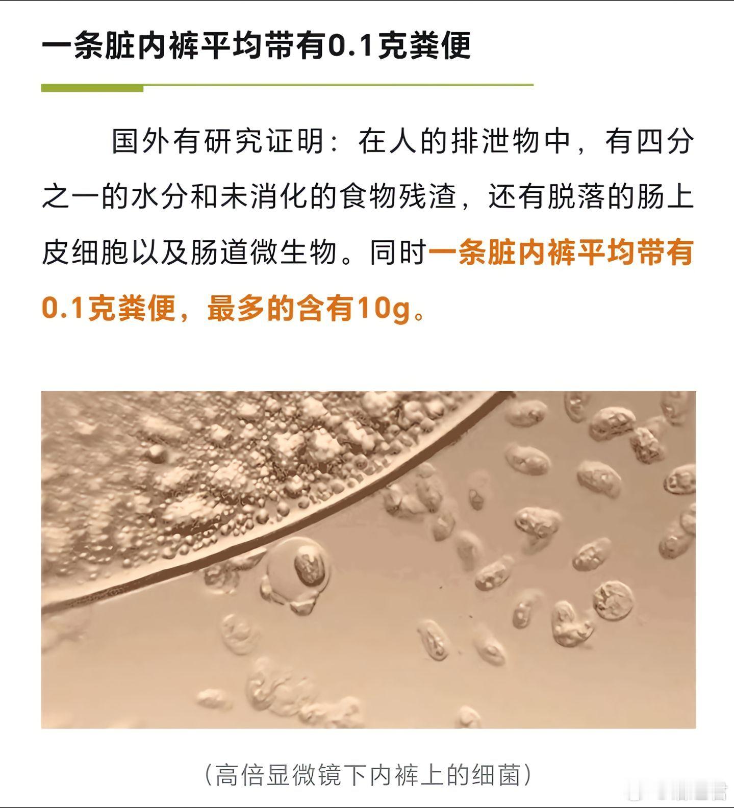 我们平时穿的内裤有多脏你了解吗？原来热水烫内裤没有杀菌效果。内衣内裤不仅要勤洗，