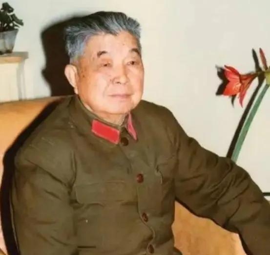 1953年，西康军区司令员刘忠，得知母亲和原配还在世，便携现任妻子回乡，当他看到