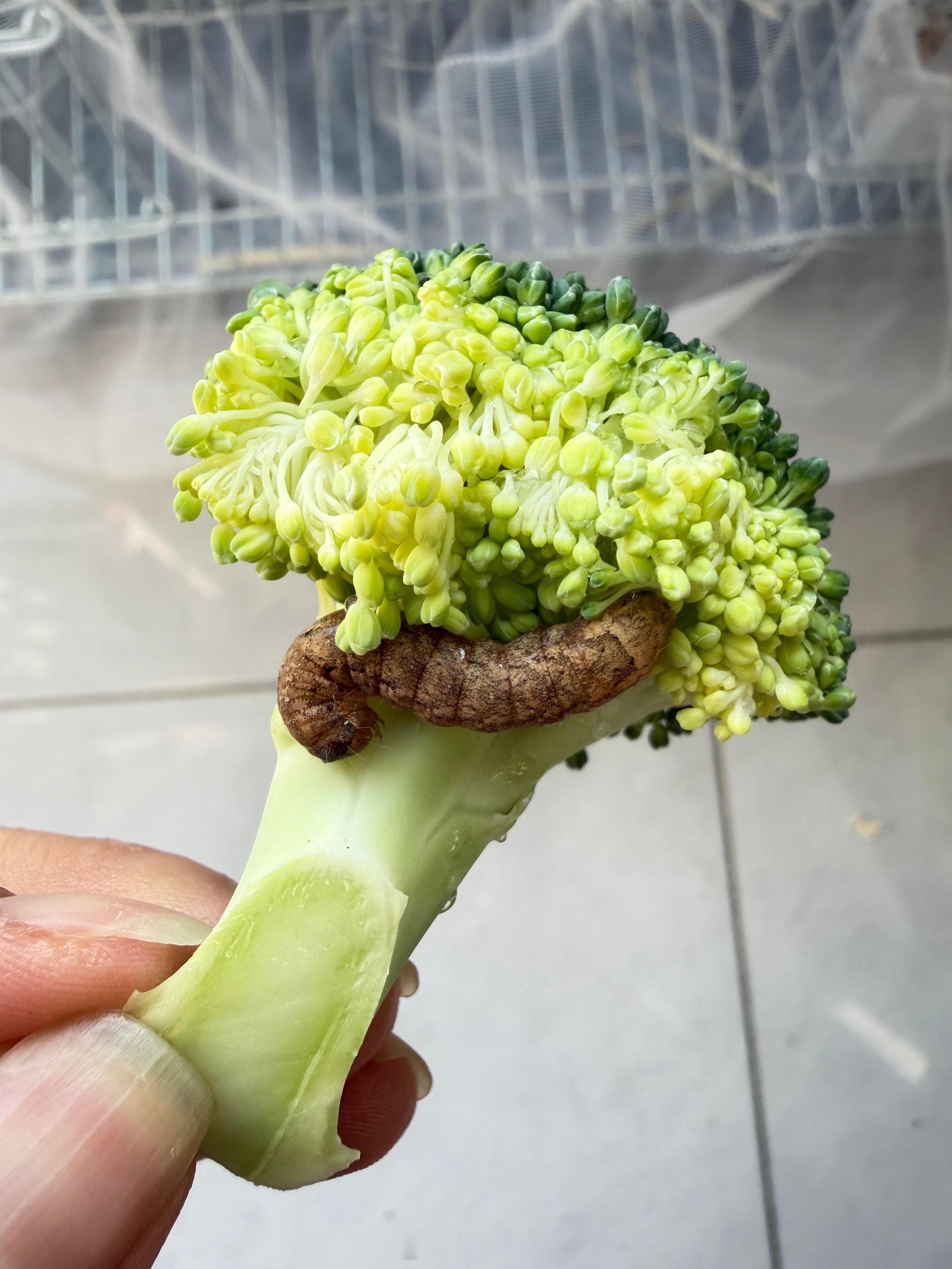 粉丝投稿： ​​​