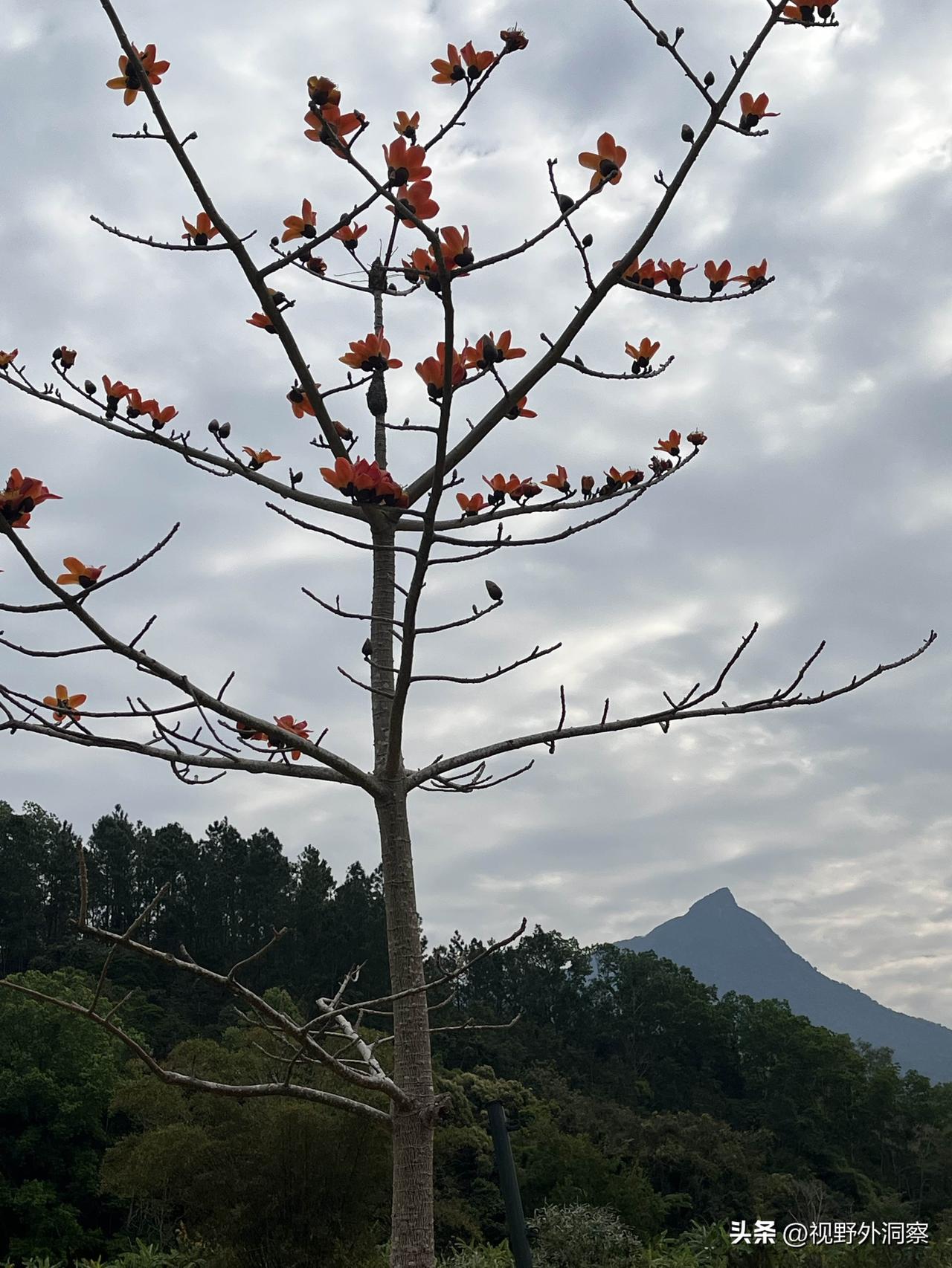 自媒体小伙伴们，快来与主流媒体平等交流，让他们的形象都看见。
        自