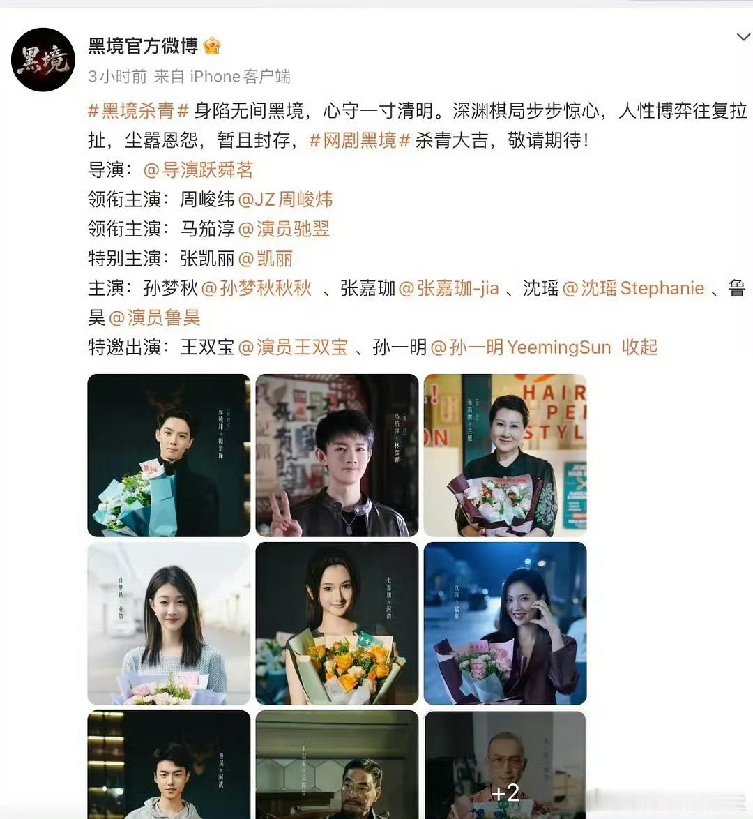 番位新规下第一个道歉的剧组，黑镜 有人听说吗 