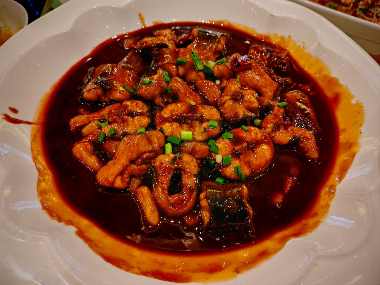 春日生活打卡季