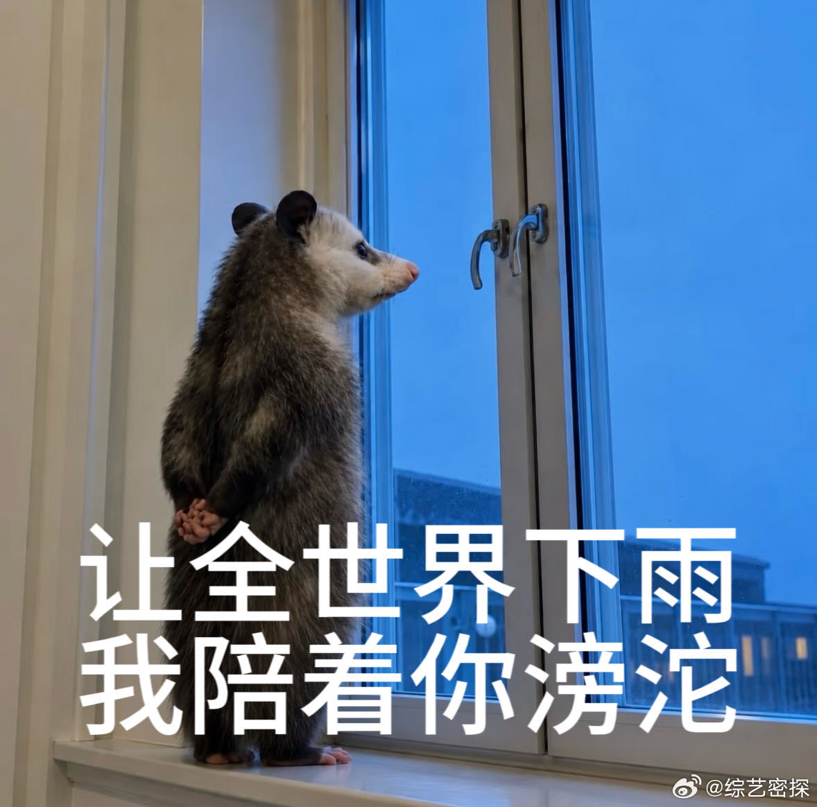周深回应演唱八仙主题曲周深回应与Ella合作 看完《八仙！》片尾听到《全世界的雨