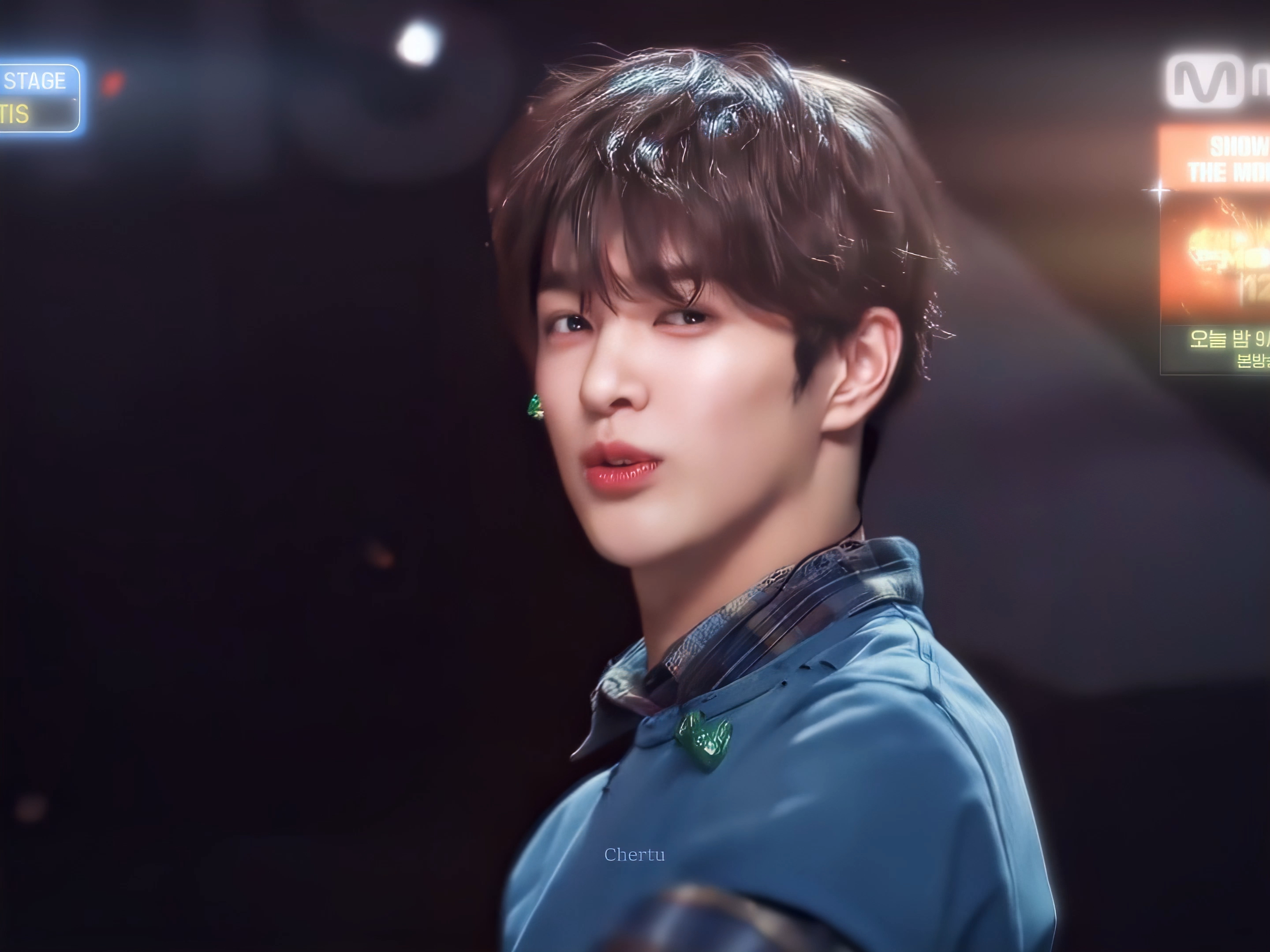 卷毛小狗狗🫐安乾镐