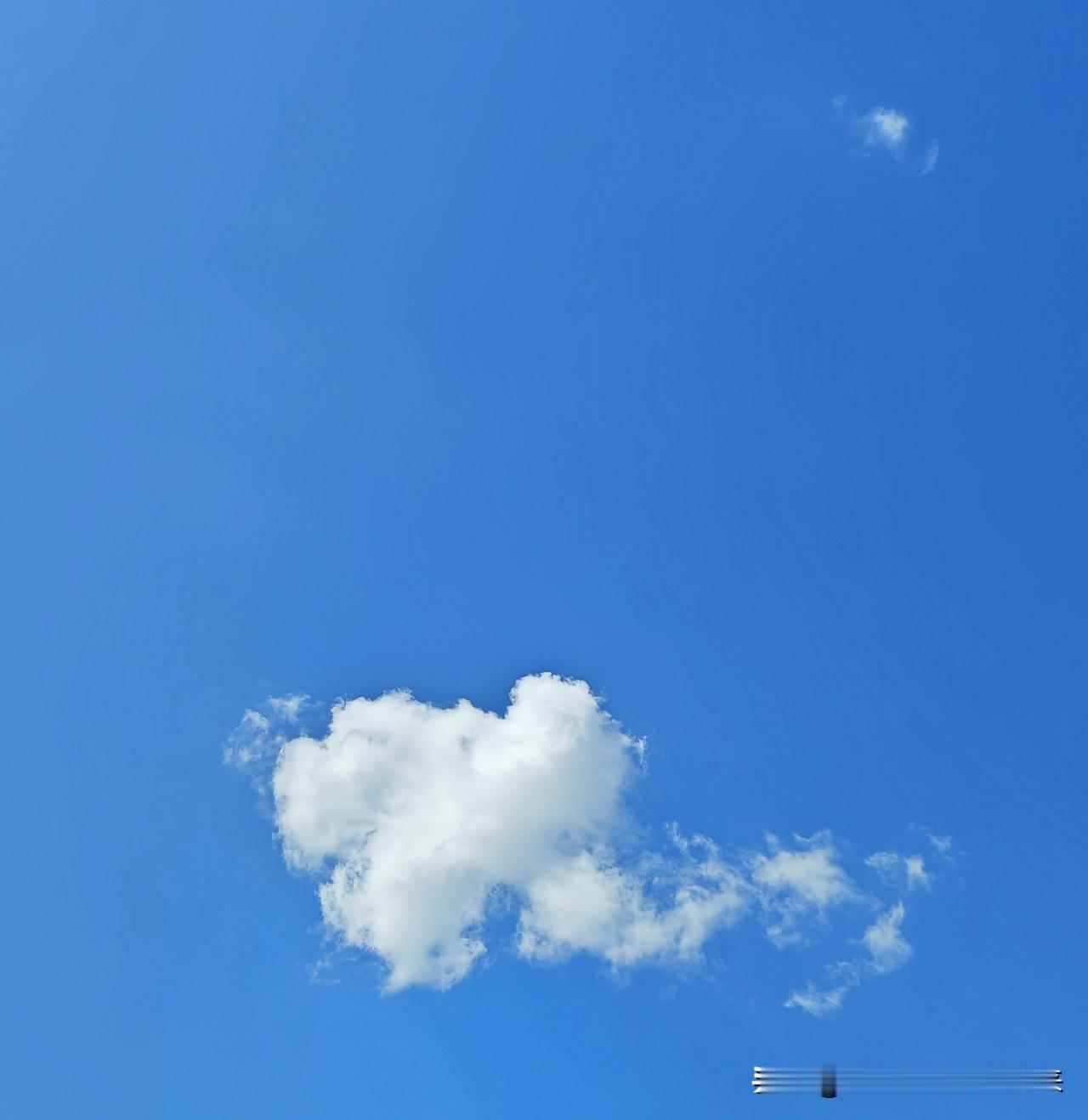 谁裁雪絮缀青冥，一缕悠游似羽轻。
恰有风来相戏耍，扯成碎玉落春庭。