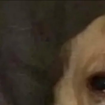 网红刘大悦患甲状腺癌很喜欢看大悦的视频，发现好多搞笑博主其实真实性格都挺emo的
