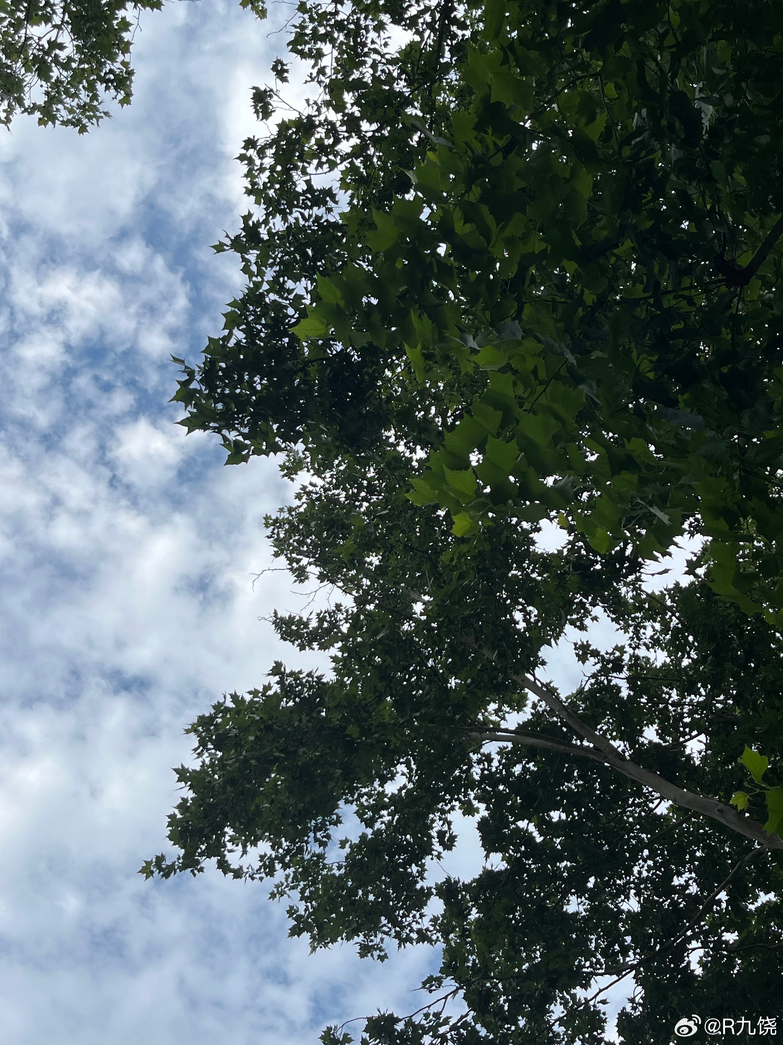 求求了，快入秋吧。热的我好难受