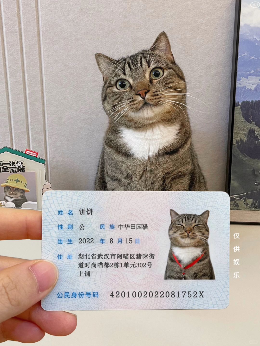 孩子两岁终于有喵喵身份证了，结果...