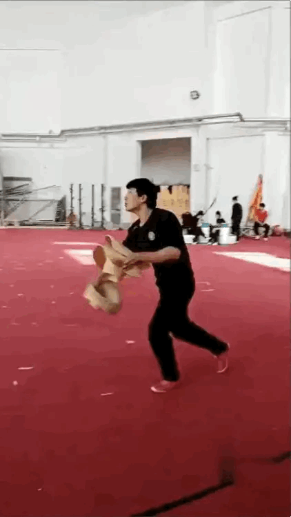 体力，眼力，灵活度缺一不可。