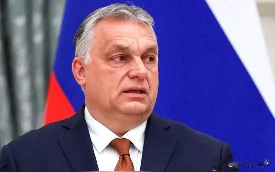 是“巧合”还是某种“必然”？不承担为乌克兰贷款的欧洲三国都曾被苏联坦克碾压过
当