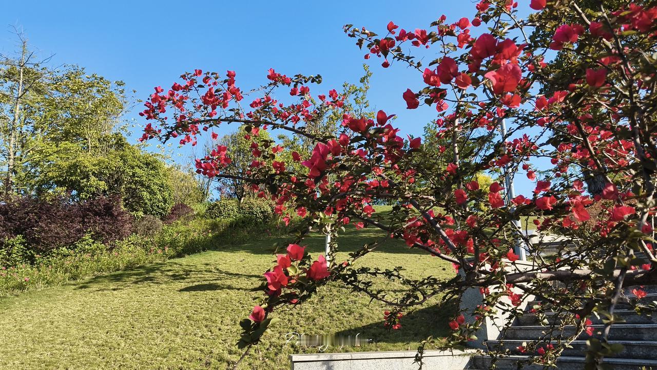 美伊谈判将成独角戏？
尽管美国佬已经高调宣布美伊明天将恢复谈判，他们的代表团已经