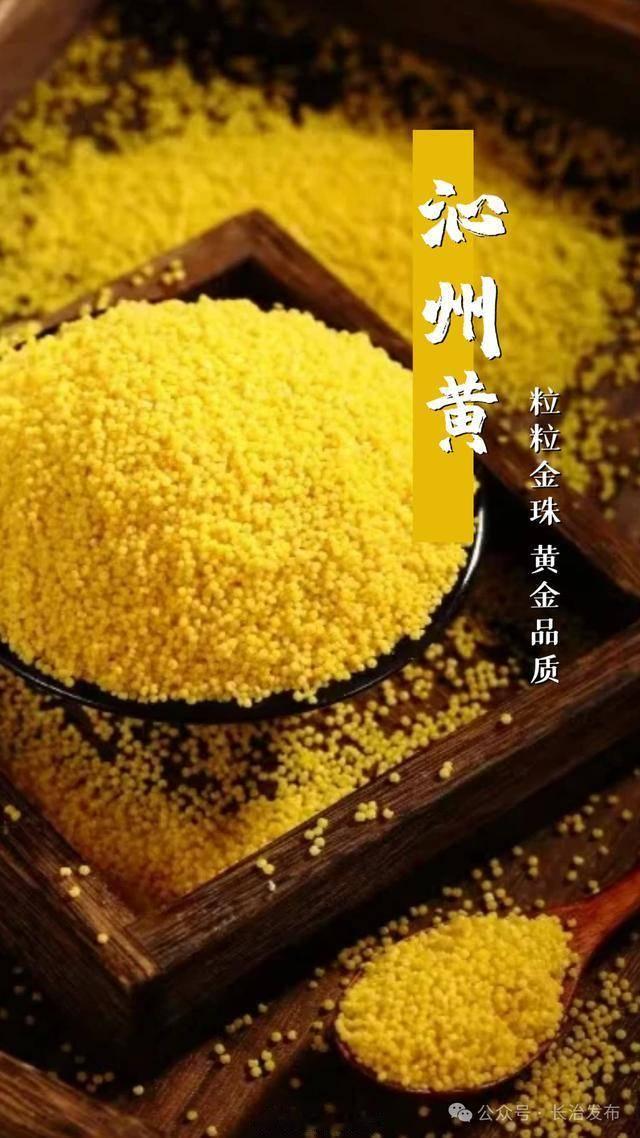 村支书卖小米被投诉 昨天在抖音看到相关内容点赞暴涨，就知道这个事件又要上热搜了；