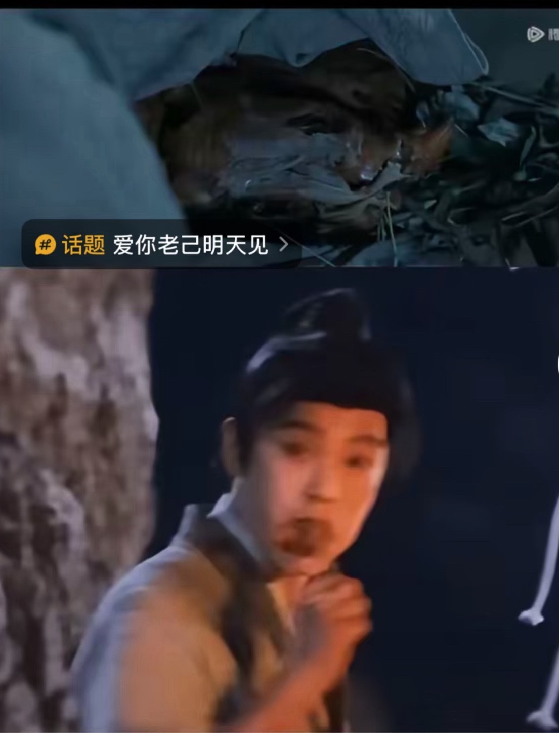 赵凌真的是我见过最适配上“爱你老己”的男主，永远在向上社交，就连给女主带烤鸡都要