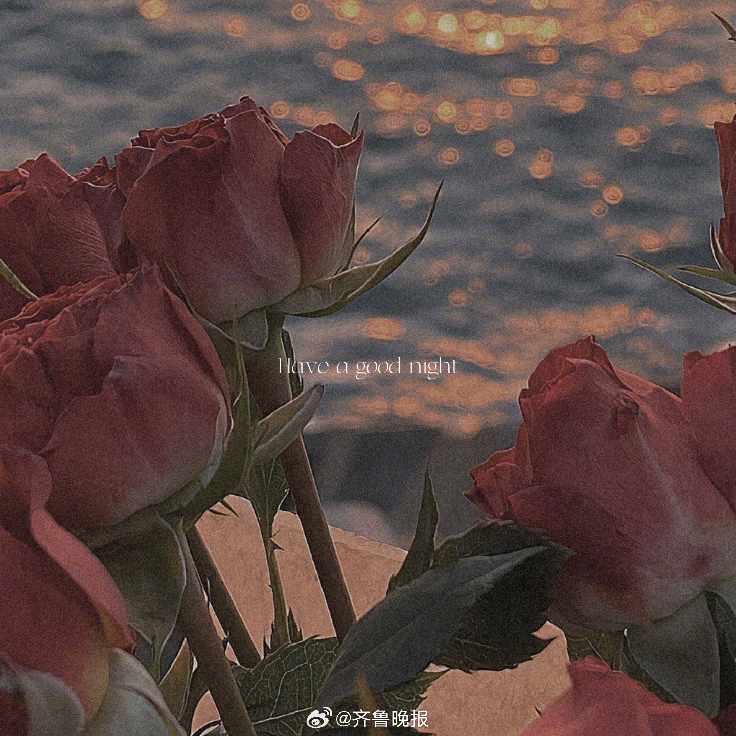 内心丰盈者独行也如众[月亮]#晚安# ​​​