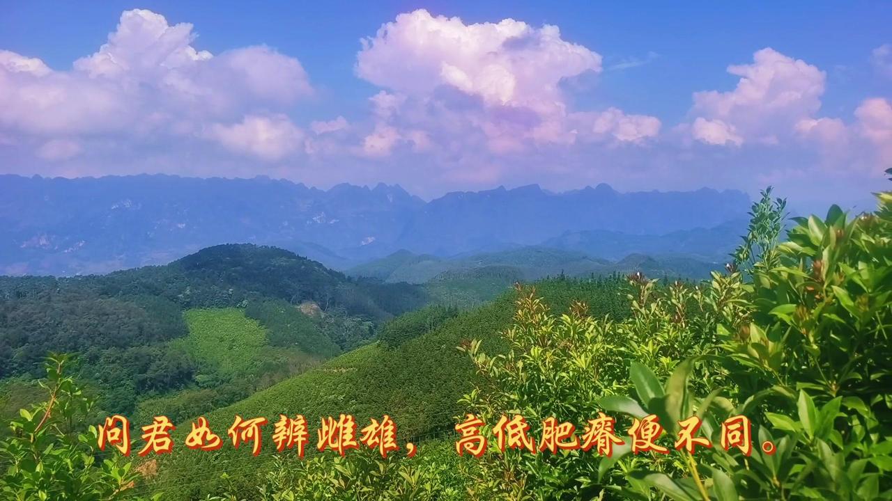 平日总觉得读书效率远不如背书来得扎实，今天沉浸式啃完廉贞的相关内容，顺着字句捋完