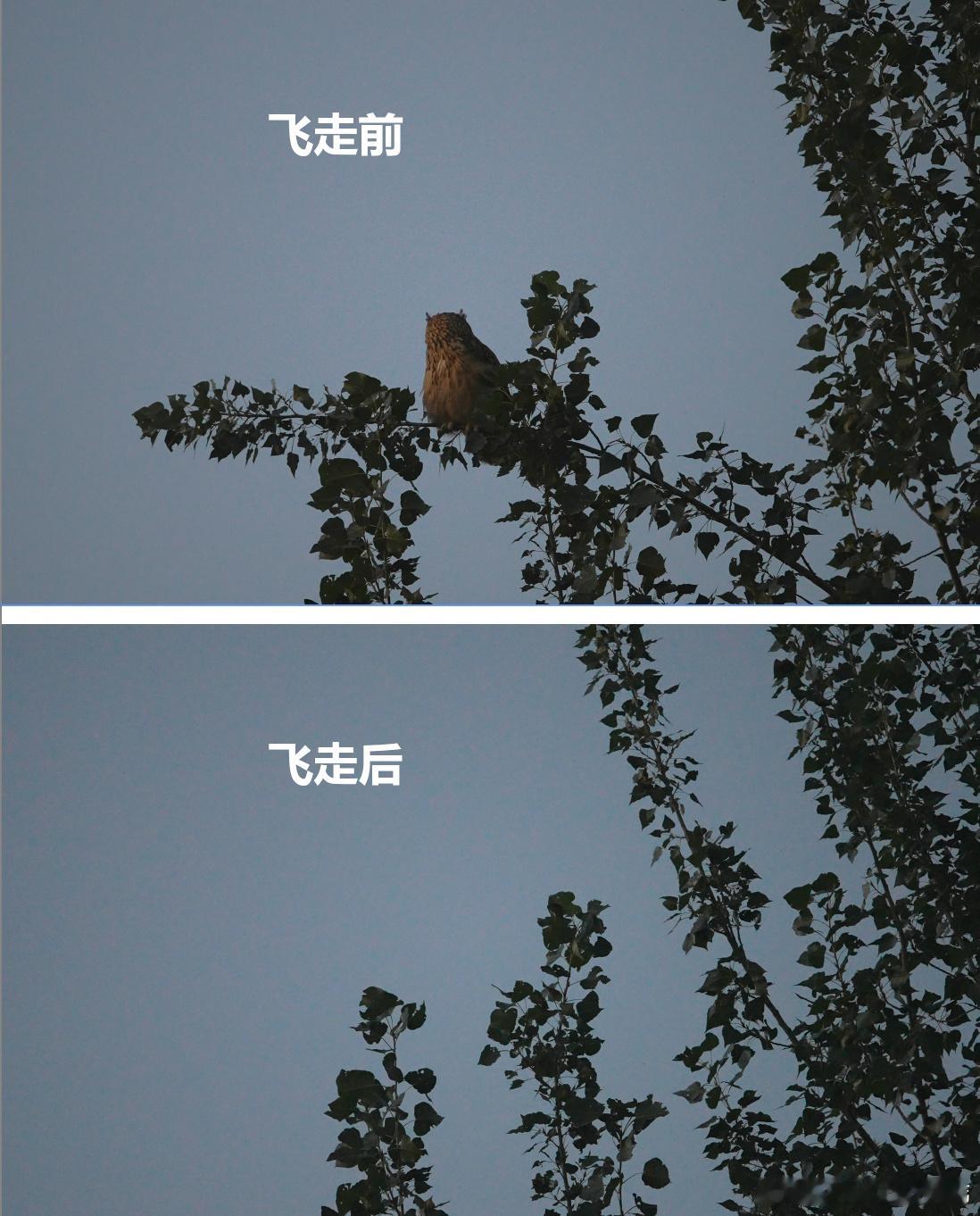 哈哈哈哈哈哈 ​​​