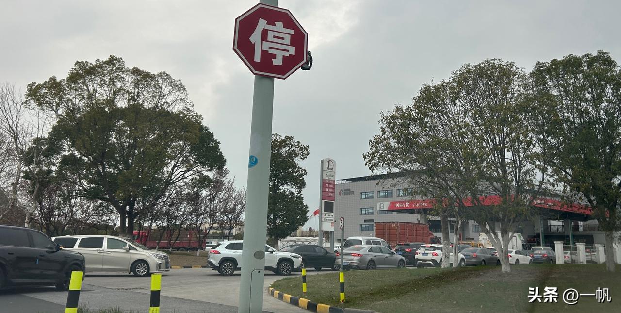昨天下午经过一个加油站的盛况[捂脸]排到路上来了