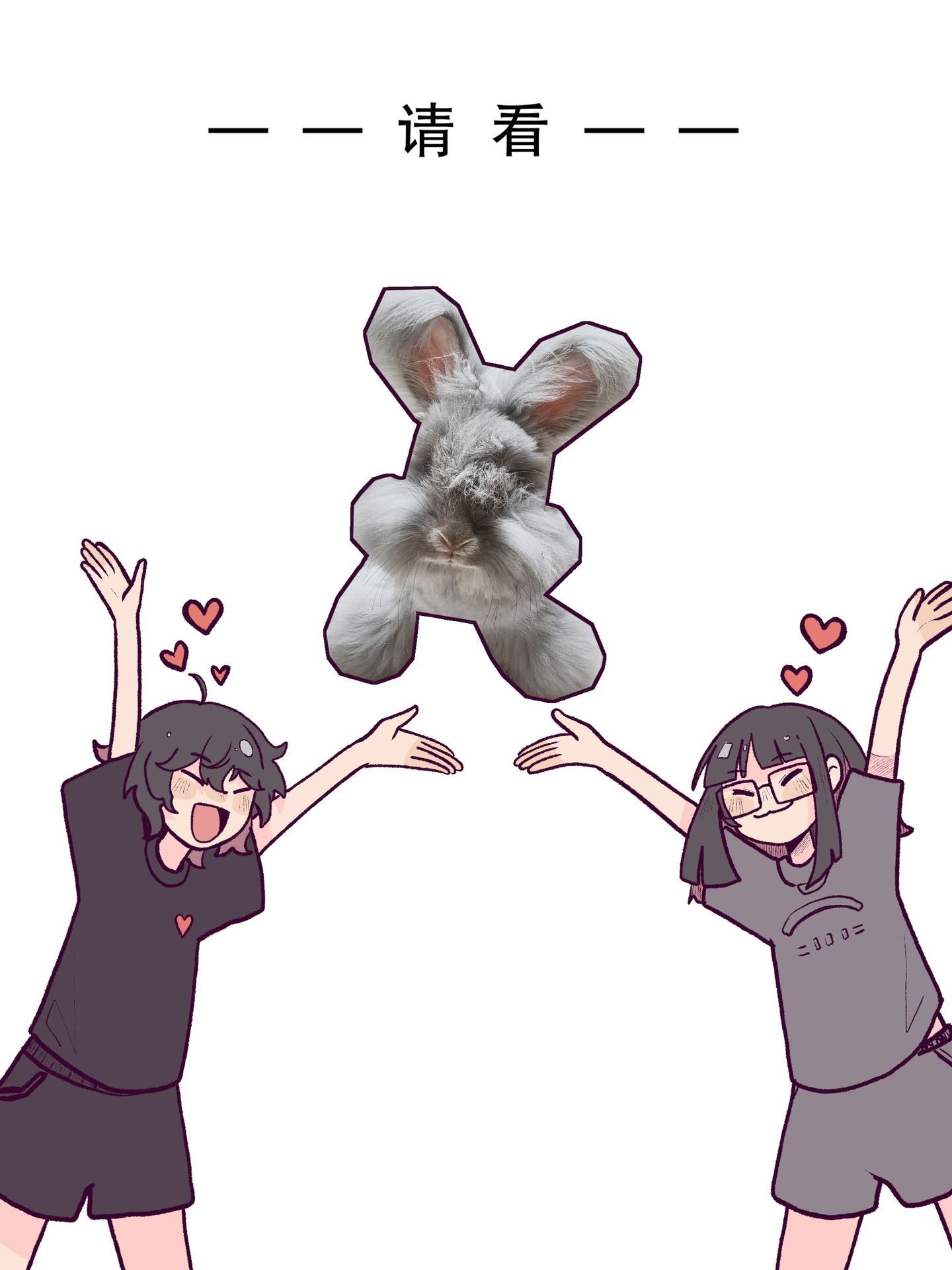 对宠物是纯溺爱（×）