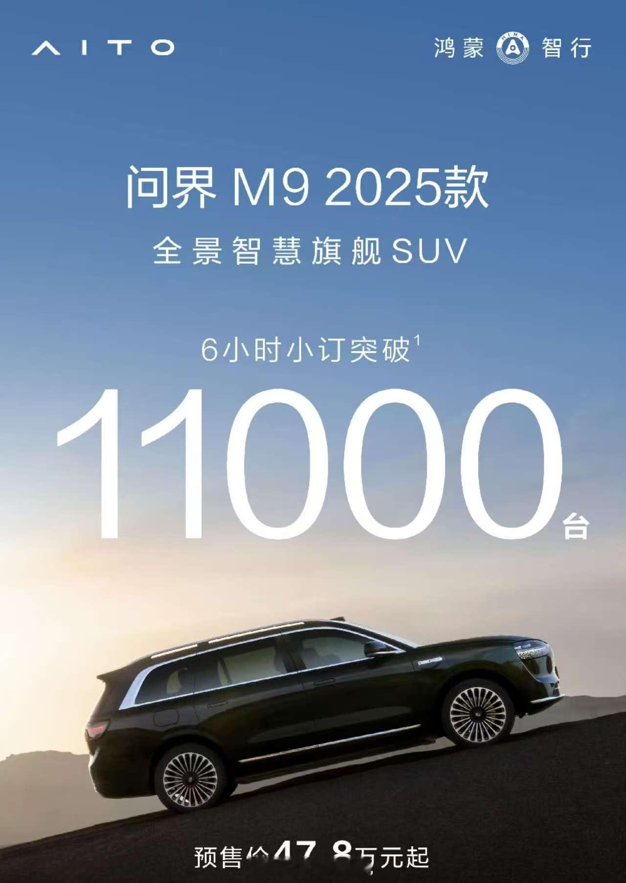 这叫什么拳问界m9问界m8 ​​​