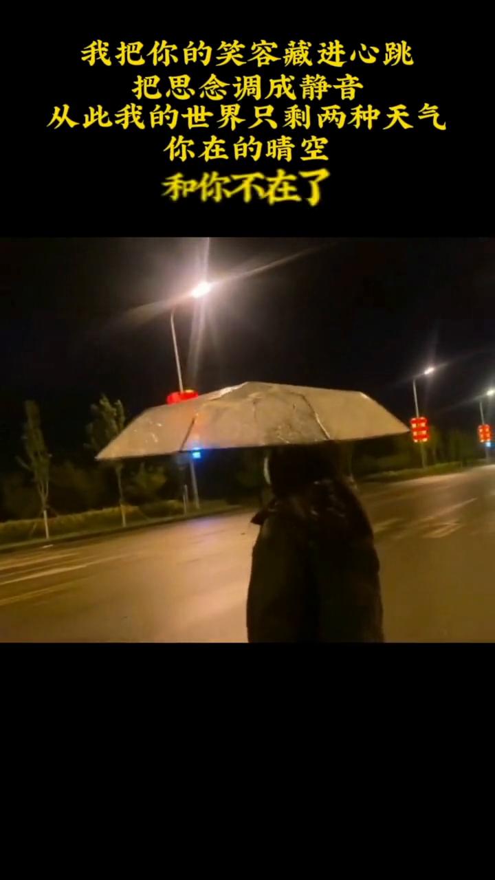 我把你的笑容藏进心跳，我想是因为我不够温柔，把思念调成静音，从此我的世界只剩两种