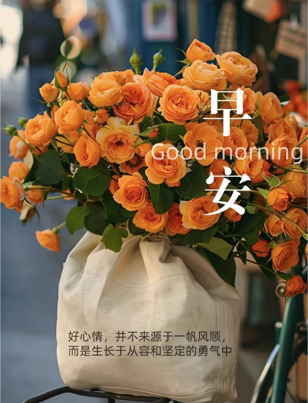好心情并不是来源于一帆风顺而是生长于从容和坚定的勇气中！ ​​​
